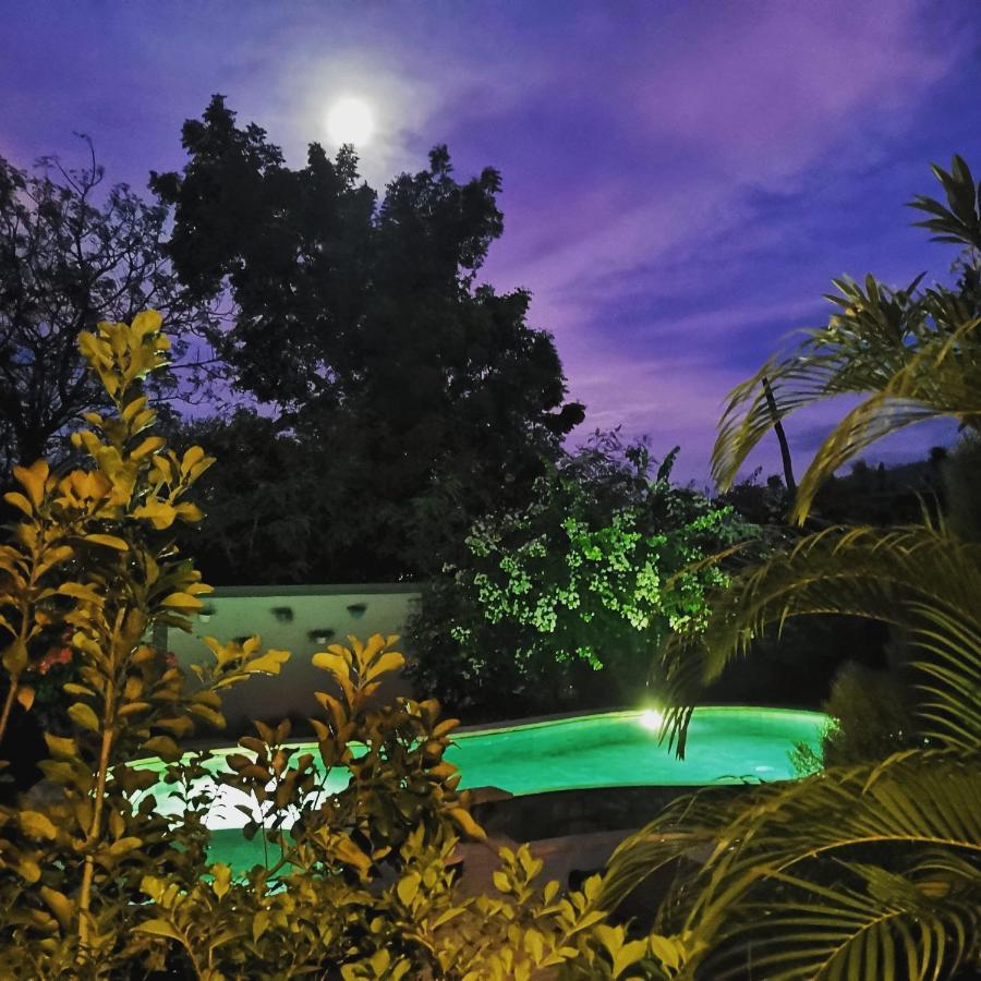 Rose Valley Villa Amed Dış mekan fotoğraf